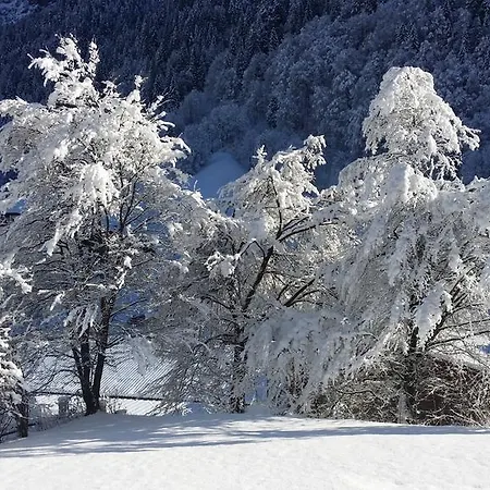 Haus Zalim * Brand (Vorarlberg)